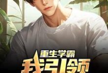 《重生学霸：我引领强国狂潮》小说主角陆远章节章节免费在线阅读-贝壳文学