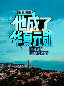 消息泄露，他成了华夏元勋这本小说完结了吗？免费查看最新章节