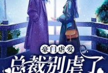 祁愿徐晏清为主角的小说好看吗？免费读豪门虐爱：总裁别虐了，夫人已婚了-贝壳文学