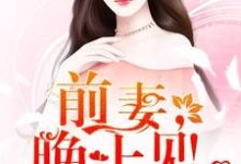 《只婚不爱:前妻,晚上见!》小说大结局免费试读 阮安汐时衍裴景宸小说-贝壳文学