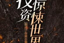 秦诺梦小说《投资惊悚世界,我成了世界巨擎》在线阅读-贝壳文学