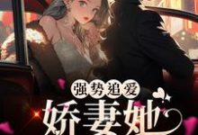 强势追爱：娇妻她又甜又野这本小说怎么样？免费在线阅读试试-贝壳文学
