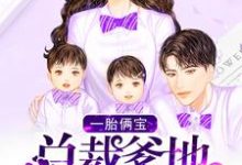 《一胎俩宝：总裁爹地超宠哒》小说大结局免费试读 慕容雪泽宇哥苏琪小说-贝壳文学
