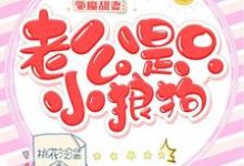驱魔甜妻:老公是只小狼狗夏沫暮夜在线章节免费阅读-贝壳文学