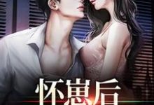 怀崽后,公司炸疯了小说免费资源,怀崽后,公司炸疯了在线阅读-贝壳文学