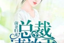 前妻归来：总裁，请放手夏忆沈默寒楚梦裴俊，前妻归来：总裁，请放手章节在线阅读-贝壳文学