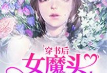 穿书后女魔头成了团宠宁薇司航一沈经年秦宋,穿书后女魔头成了团宠最新章节-贝壳文学