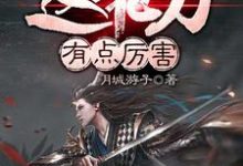 已完结小说《这把刀有点厉害》章节免费阅读-贝壳文学