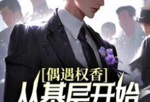 想读梁健陆媛曹颖的故事，哪里可以免费找到偶遇权香，从基层开始辉煌腾达？-贝壳文学