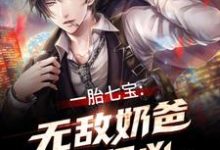 一胎七宝：无敌奶爸超级凶免费阅读，一胎七宝：无敌奶爸超级凶林明贝欣瑶-贝壳文学