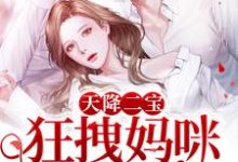 天降二宝：狂拽妈咪A爆了！小说全文阅读需要付费吗？寻找免费资源-贝壳文学