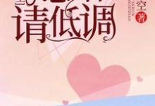 陆先生，隐婚请低调免费阅读，陆先生，隐婚请低调章节在线阅读-贝壳文学