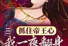 小说《抓住帝王心，我一夜翻身成宠妃》章节免费阅读-贝壳文学