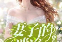 人到三十：妻子的迷途丁亦同何紫云小说在线章节目录阅读最新章节-贝壳文学