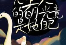 甜宠!心上人的白月光竟是她自己周沉时星瑶小说在线章节免费阅读-贝壳文学