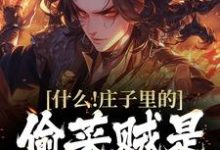 已完结小说《什么!庄子里的偷菜贼是李世民》最新章节-贝壳文学