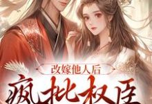 《改嫁他人后，疯批权臣发疯了》小说主角陆修砚苏皎皎章节章节免费在线阅读-贝壳文学