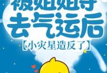 被姐姐夺去气运后,小灾星造反了小说完结版章节免费阅读-贝壳文学