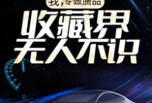 求我，专做赝品，收藏界无人不识小说的全文免费阅读链接-贝壳文学