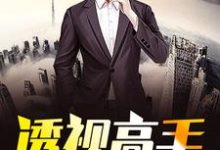 在线寻找透视高手在都市小说的无删减版本-贝壳文学