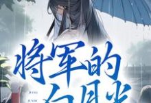 主角叫叶翎褚越小说将军的白月光竟是我自己章节免费阅读-贝壳文学