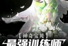 主角叫沈云小说神奇宝贝：最强训练师之路章节免费阅读-贝壳文学