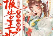 苏静水战玄野的完整故事在哪里?读报告王妃,王爷又醋了小说-贝壳文学