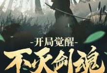 已完结小说《开局觉醒不灭剑魂》章节在线阅读-贝壳文学