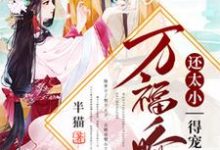 万福娇妃还太小，得宠着！小说的无弹窗阅读体验，寻找免费阅读网站-贝壳文学
