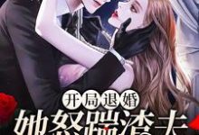 开局退婚,她怒踹渣夫搞事业小说的免费阅读版本在哪里可以找到?-贝壳文学