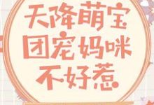 天降萌宝:团宠妈咪不好惹小说,天降萌宝:团宠妈咪不好惹章节在线阅读-贝壳文学