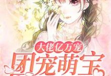 大佬亿万宠:团宠萌宝四岁啦小说最新章节在哪里可以读到?-贝壳文学