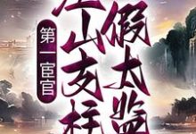 主人公叫林枫夏司遥的小说第一宦官：江山支柱假太监在线阅读章节-贝壳文学