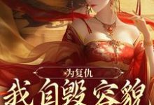 小说《为复仇,我自毁容貌进了公主府》章节阅读-贝壳文学