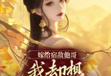 嫁给宿敌他哥，我却想爬宿敌的床小说的免费阅读版本在哪里可以找到？-贝壳文学
