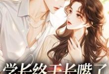 学长终于长嘴了，可是我不稀罕了小说，学长终于长嘴了，可是我不稀罕了免费阅读-贝壳文学