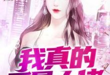 免费在线阅读我真的不是大佬小说的正规网站有哪些？-贝壳文学