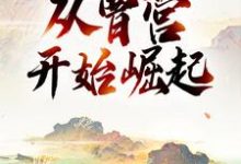 三国:从曹营开始崛起这本小说完结了吗?免费查看最新章节-贝壳文学