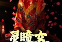 诡异:灵瞳女,蛇灵夫( 苏婉白重)在线免费阅读-贝壳文学