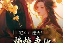 温婉卿顾晏的故事在哪本书里？免费阅读宅斗：逆天！糟糠妻她转身成了王妃-贝壳文学