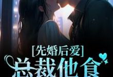先婚后爱：总裁他食髓知味了主角黎晚安贺闻洲小说完结版章节在线阅读-贝壳文学
