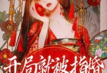 主人公叫何沁瑶楚明熙的小说哪里免费看-贝壳文学