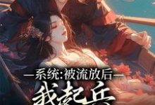 林怡然萧云湛的完整故事在哪里?读系统:被流放后,我起兵夺走皇位小说-贝壳文学