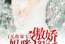 《无敌双宝：傲娇妈咪很抢手》小说主角宋唐傅景琛傅向南陆擎宇章节章节免费在线阅读-贝壳文学