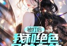 被打后，我和绝色且单身的太太和解了这本小说怎么样？免费在线阅读试试-贝壳文学