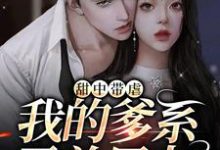 免费阅读凌野傅泊丞为主角的小说，甜中带虐：我的爹系霸总男友在线看-贝壳文学