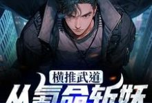 主人公林念小说横推武道:从氪命斩妖开始无敌在线章节阅读-贝壳文学