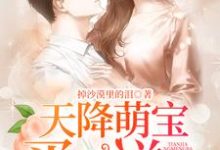 求天降萌宝买二送一小说的全文免费阅读链接-贝壳文学