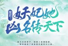 魔君!妖妃她凶名传天下(叶汐南宫珏贺飞)在线免费阅读-贝壳文学