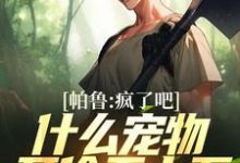 已完结小说《帕鲁:疯了吧!什么宠物开价五十万》章节在线阅读-贝壳文学